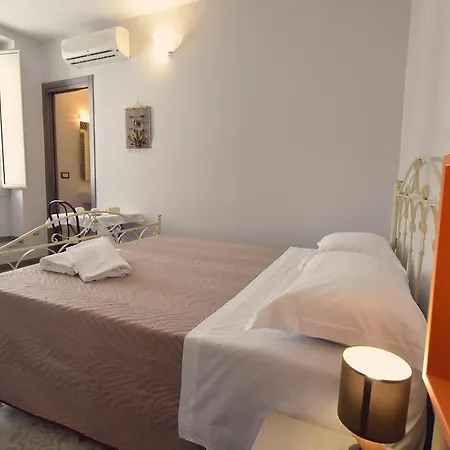 Netta Guest house *